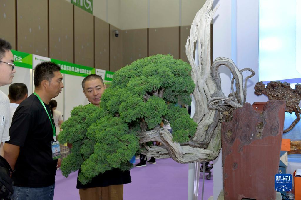 噢门永利总站 下载